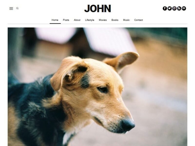 John demo preview