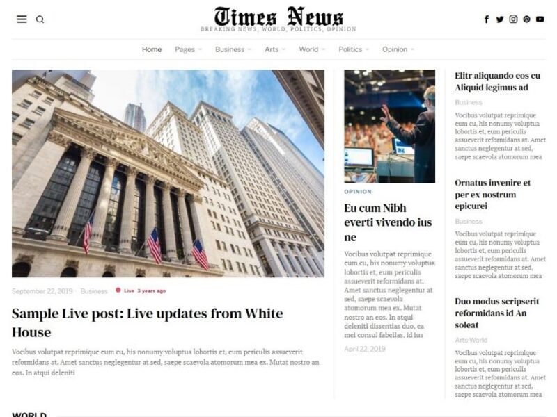 Times News demo preview