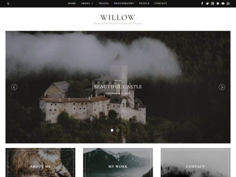 Willow demo preview